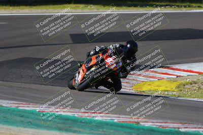 media/Mar-17-2024-Fastrack Riders (Sun) [[c7d6f8c14c]]/Level 3/Turn 6/